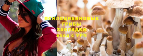 мескалин Майский