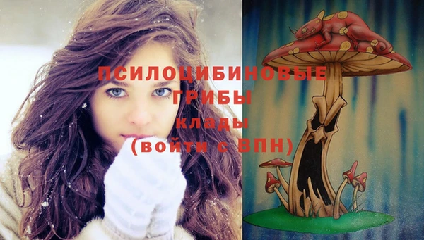 таблы Магас