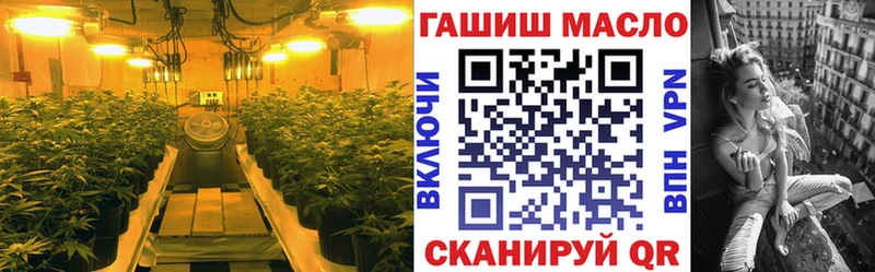 Дистиллят ТГК THC oil Купить закладки Ачхой-Мартан