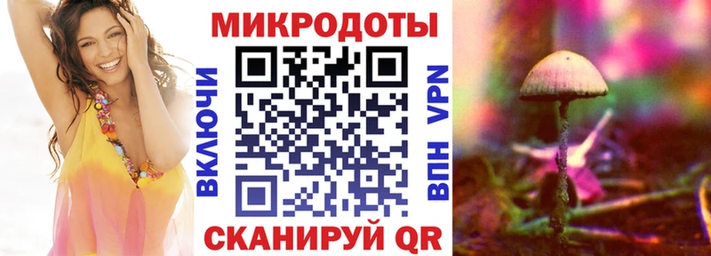Псилоцибиновые грибы Magic Shrooms  Купить  Ачхой-Мартан 